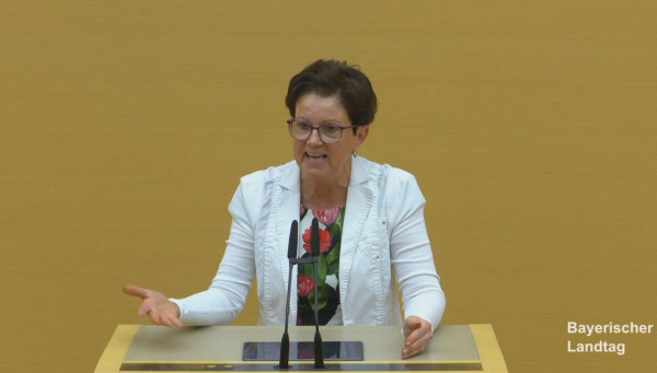Redebeiträge der Landtagsabgeordneten Gudrun Brendel-Fischer zur 117. Sitzung im Bayerischen Landtag 